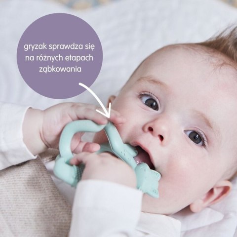 Gryzak lisek, Blush, b.box