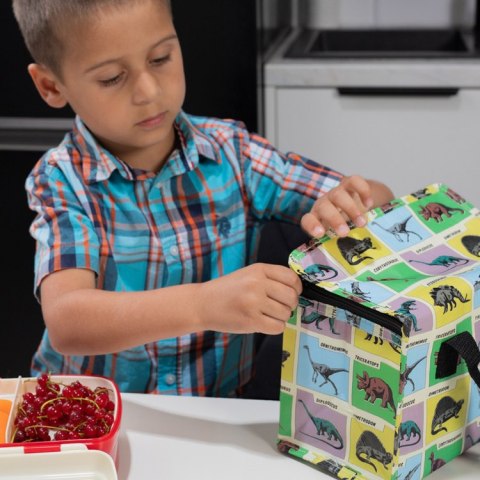 Torba termiczna na lunch, Dinozaury, Rex London