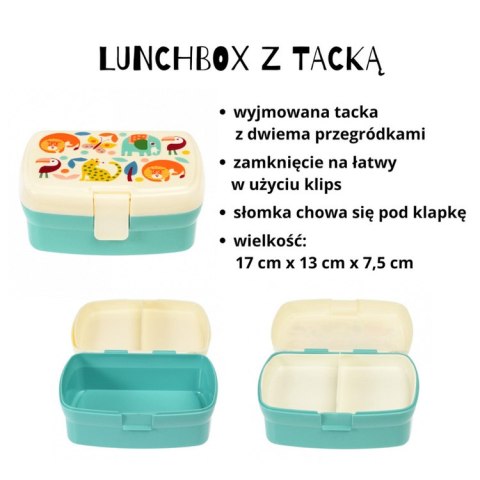 Zestaw śniadaniowy lunchbox i bidon Dzikie zwierzęta, Rex London