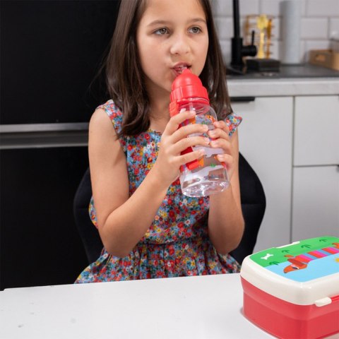 Zestaw śniadaniowy lunchbox i bidon Jamniki, Rex London