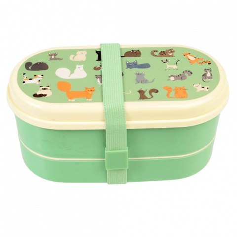 Lunchbox Bento Koty, Rex London
