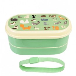 Lunchbox Bento Koty, Rex London