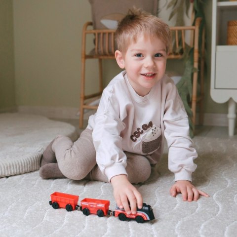 WOOPIE Lokomotywa Elektryczna Pociąg Wagony na Magnes