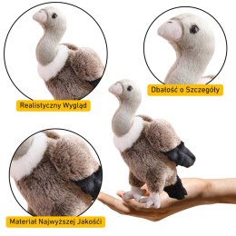 Pluszowy Sęp Ptak Pluszak Maskotka Przytulanka 25cm