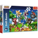 Puzzle - 160 - Sonic i przyjaciele - Trefl 15421