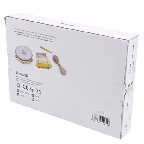 VIGA PolarB Zestaw Instrumentów Muzycznych Różowy 12m+