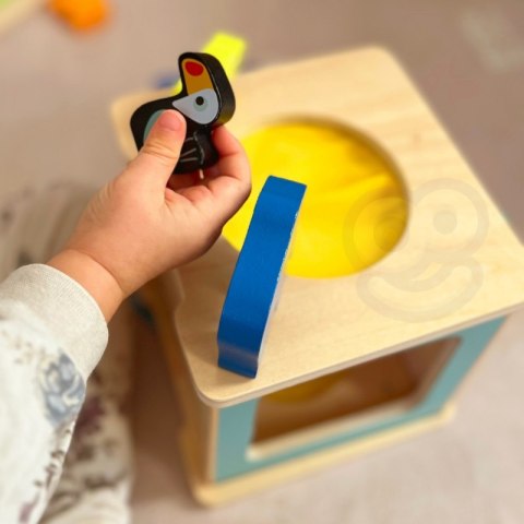 WOOPIE GREEN Box Pudełko XXL Montessori Edukacyjne 7w1 Sensoryczne 31-36 Mies. FSC